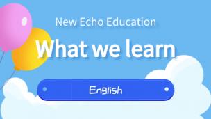 What We Learn - English Beginner